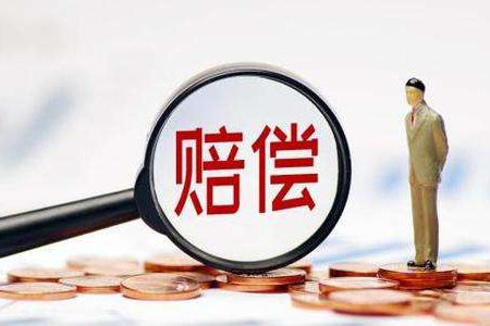 賠償新規